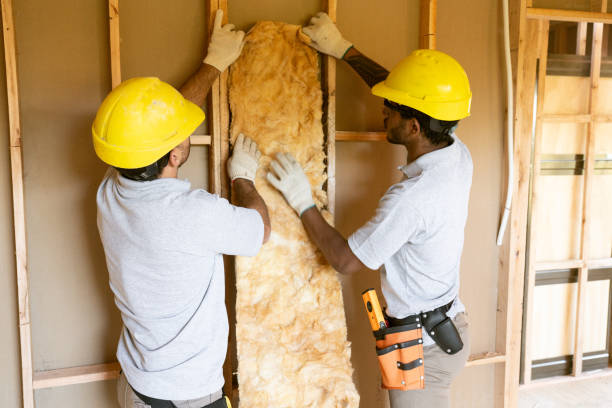 Best Local Insulation Services  in Avalon, NJ